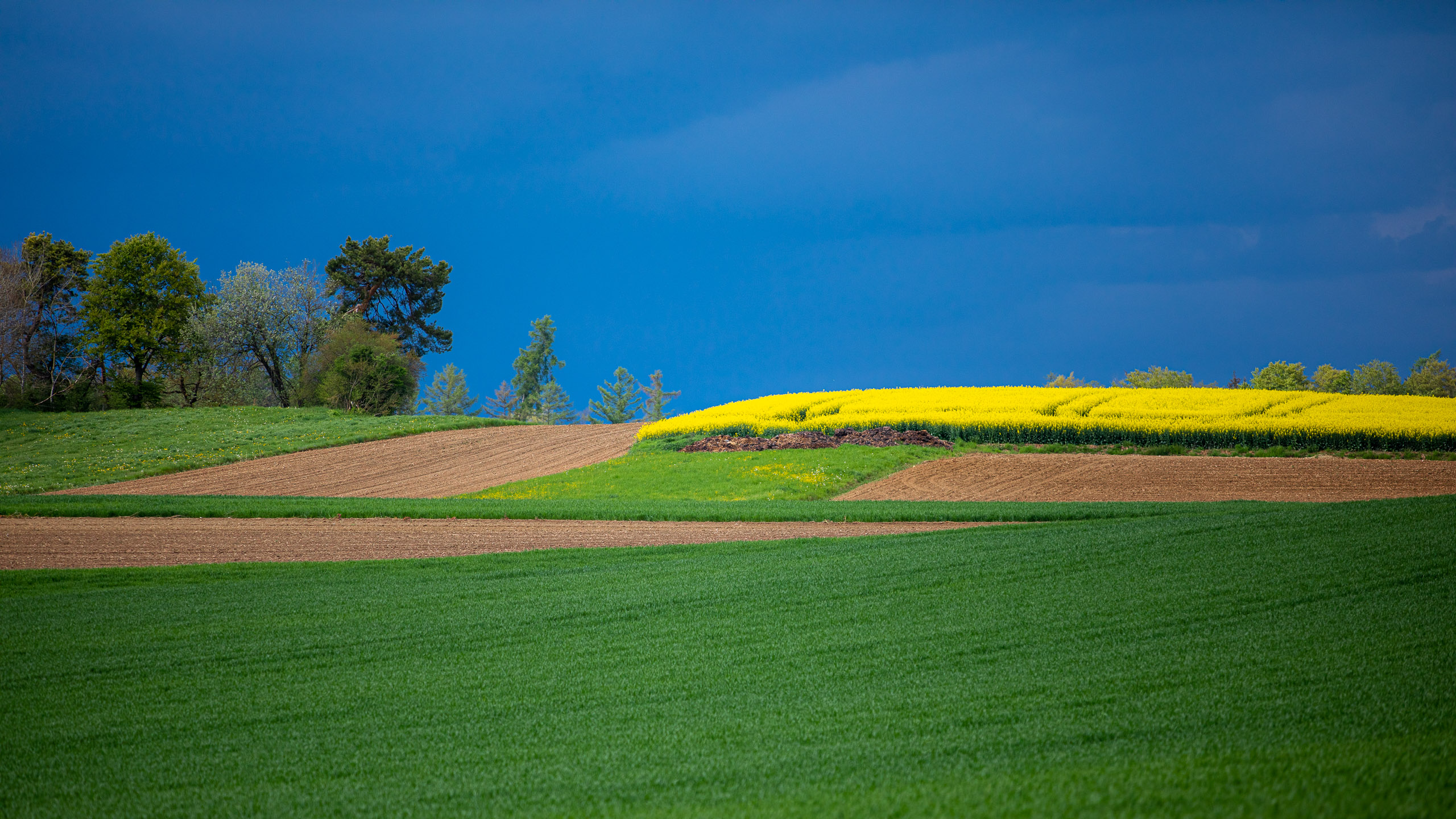 20230507154126 RD4 3979